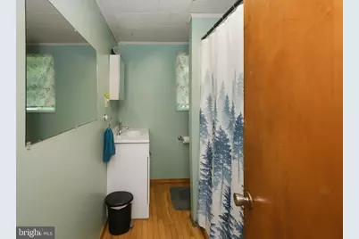 16 Virginia Avenue, Bloomington, MD 21523 - Photo 33