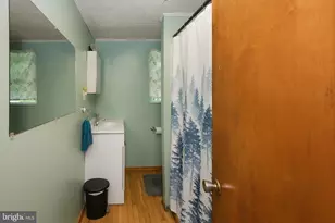 16 Virginia Ave, Bloomington, MD 21523 - Photo 33