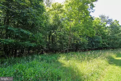 80 Sundance Way, Mc Henry, MD 21541 - Photo 5