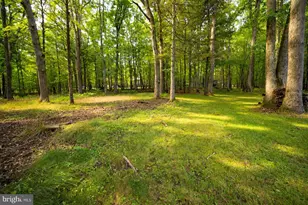 15 Sky Valley Rd, Swanton, MD 21561 - Photo 7