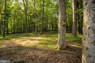 15 Sky Valley Rd, Swanton, MD 21561 - Photo 5
