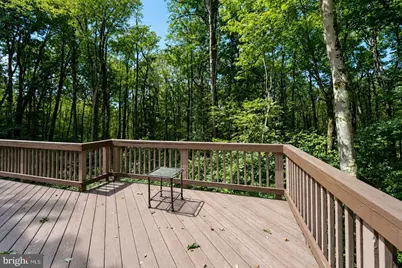 230 Springhouse Way, Grantsville, MD 21536 - Photo 33