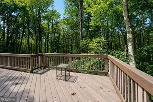 230 Springhouse Way, Grantsville, MD 21536 - Photo 33