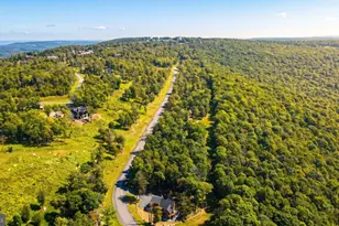 337 Fork Run Trail, Mc Henry, MD 21541 - Photo 79
