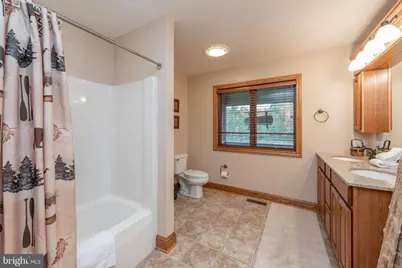 395 Woodlands Hill Lane, Oakland, MD 21550 - Photo 21