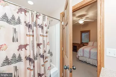 395 Woodlands Hill Lane, Oakland, MD 21550 - Photo 41