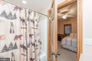 395 Woodlands Hill Ln, Oakland, MD 21550 - Photo 41