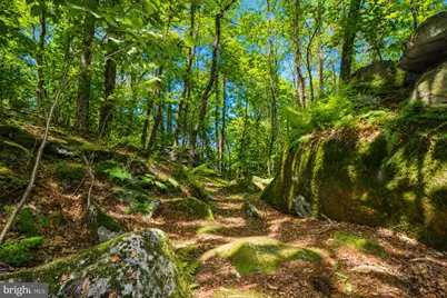 Lot 100 Deep Creek Highlands Road, Mc Henry, MD 21541 - Photo 39