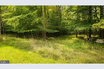 Lot 100 Deep Creek Highlands Road, Mc Henry, MD 21541 - Photo 7