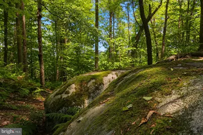 Lot 100 Deep Creek Highlands Road, Mc Henry, MD 21541 - Photo 41