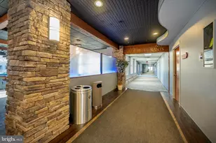 290 Marsh Hill Rd, Mc Henry, MD 21541 - Photo 15
