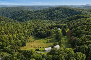 2724 Dry Run Rd, Swanton, MD 21561 - Photo 41