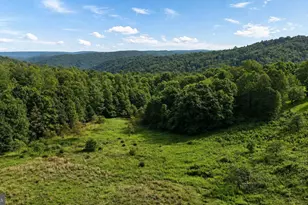 2724 Dry Run Rd, Swanton, MD 21561 - Photo 37