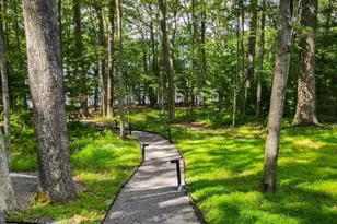 75 Spring Creek Ln, Swanton, MD 21561 - Photo 81