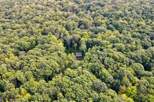 116 Bear Ridge Ct, Friendsville, MD 21531 - Photo 53