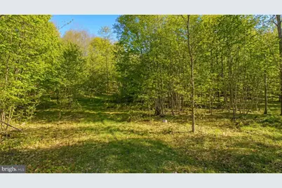 94 Mountaintop Road, Mc Henry, MD 21541 - Photo 13