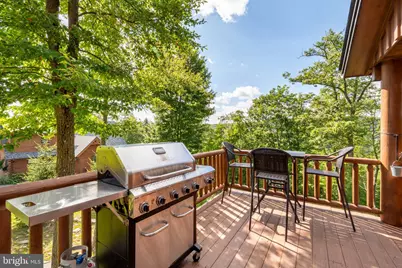 870 N Camp Road, Mc Henry, MD 21541 - Photo 61
