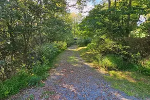 769 Myers Rd, Friendsville, MD 21531 - Photo 57