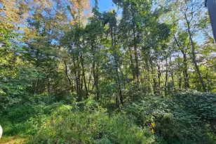 769 Myers Rd, Friendsville, MD 21531 - Photo 55