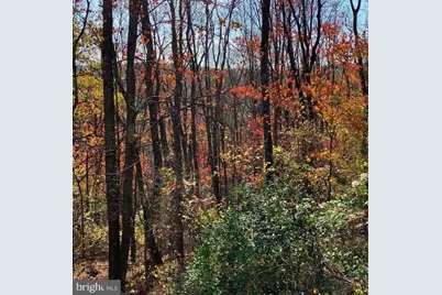769 Myers Road, Friendsville, MD 21531 - Photo 5