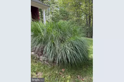 252 Racoon Drive, Oakland, MD 21550 - Photo 27