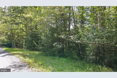 Yough View Drive, Oakland, MD 21550 - Photo 5