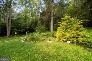 322 Hemlock Rd, Grantsville, MD 21536 - Photo 67