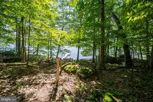 2849 Shingle Camp Rd, Oakland, MD 21550 - Photo 17