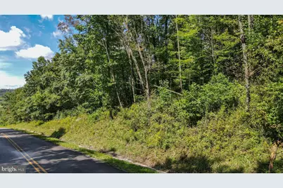 Devils Half Acre Road, Accident, MD 21520 - Photo 5