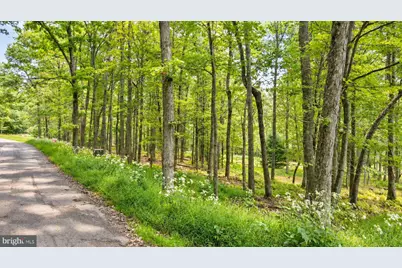 Lot 12 Poland Heights Lane, Swanton, MD 21561 - Photo 9