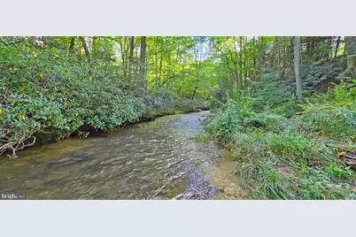 Parcel 100,Lot 1 Rabbit Hollow Road, Accident, MD 21520 - Photo 19