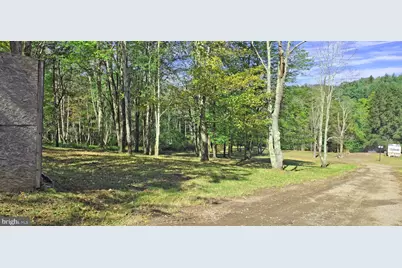 Parcel 100,Lot 1 Rabbit Hollow Road, Accident, MD 21520 - Photo 23