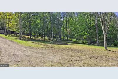 Parcel 100,Lot 1 Rabbit Hollow Road, Accident, MD 21520 - Photo 29