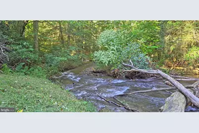 Parcel 100,Lot 1 Rabbit Hollow Road, Accident, MD 21520 - Photo 17