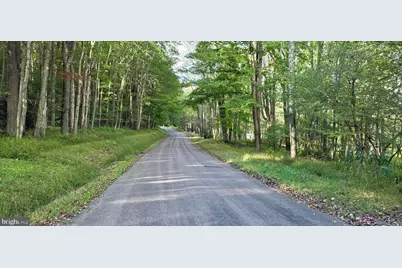 Parcel 100,Lot 1 Rabbit Hollow Road, Accident, MD 21520 - Photo 3