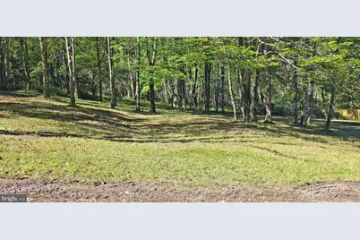 Parcel 100,Lot 1 Rabbit Hollow Road, Accident, MD 21520 - Photo 21
