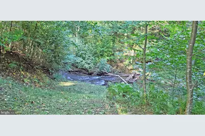 Parcel 100,Lot 1 Rabbit Hollow Road, Accident, MD 21520 - Photo 15