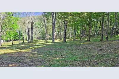 Parcel 101,Lot 2 Rabbit Hollow Road, Accident, MD 21520 - Photo 7