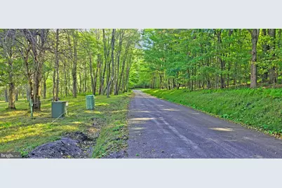 Parcel 101,Lot 2 Rabbit Hollow Road, Accident, MD 21520 - Photo 15