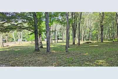 Parcel 101,Lot 2 Rabbit Hollow Road, Accident, MD 21520 - Photo 11