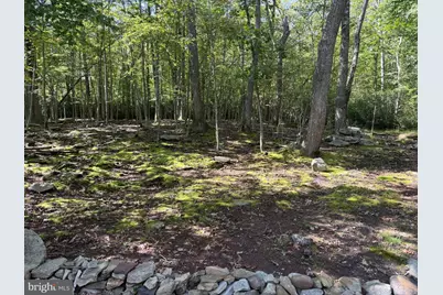 793 Fox Tail Road, Oakland, MD 21550 - Photo 3