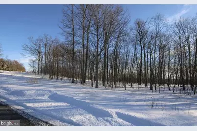120 Sundance Way, Mc Henry, MD 21541 - Photo 5