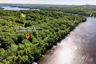 430 State Park Rd, Swanton, MD 21561 - Photo 7