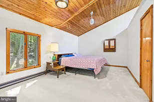 430 State Park Rd, Swanton, MD 21561 - Photo 49