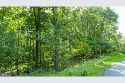 Lot 1 Betts Lane, Oakland, MD 21550 - Photo 5