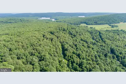 Lot 1 Betts Lane, Oakland, MD 21550 - Photo 19