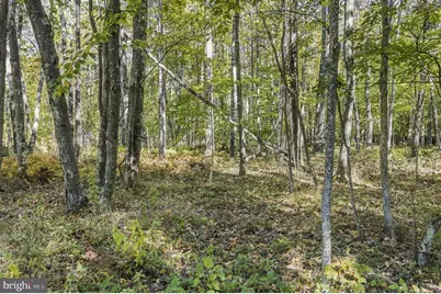 .94 Acres Mosser, Mc Henry, MD 21541 - Photo 3