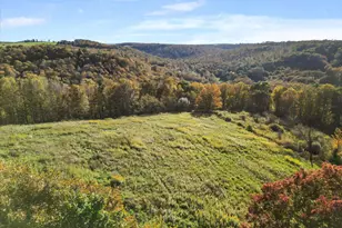 1351 Miller Rd, Grantsville, MD 21536 - Photo 25