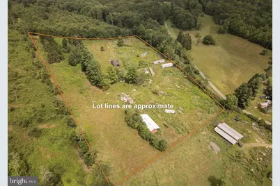1055 Old Wilson Road, Swanton, MD 21561 - Photo 3