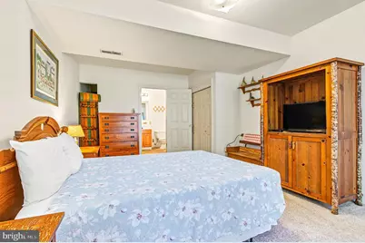 97 Lake Pointe Drive, Mc Henry, MD 21541 - Photo 25